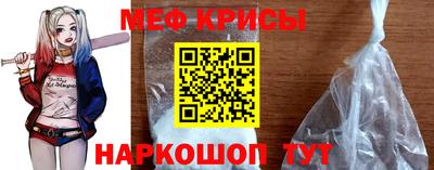 спайс Кингисепп