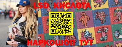 спайс Кингисепп