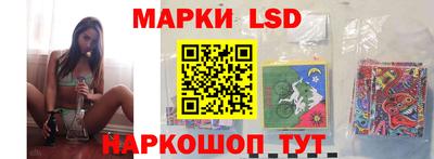 спайс Кингисепп