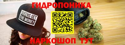спайс Кингисепп