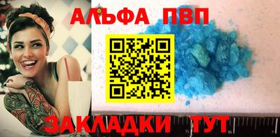 спайс Кингисепп
